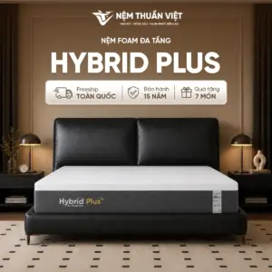Nệm Foam Latex Thuần Việt Hybrid Plus - Nâng tầm giấc ngủ với công nghệ 5IN1, nâng đỡ từng vùng chuyên sâu