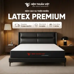 Nệm cao su thiên nhiên Thuần Việt Latex Premium – Siêu đàn hồi, êm ái, nâng đỡ từng đường cong trên cơ thể