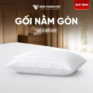 [Tặng] 02 Gối Nằm Gòn Cao Cấp Thuần Việt